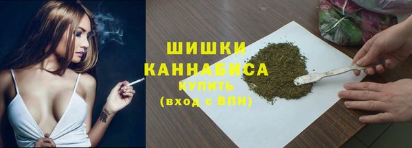 spice Горняк
