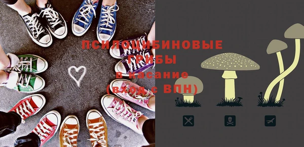 apvp Чекалин