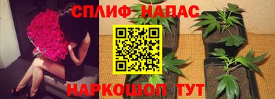 круглые Кингисепп