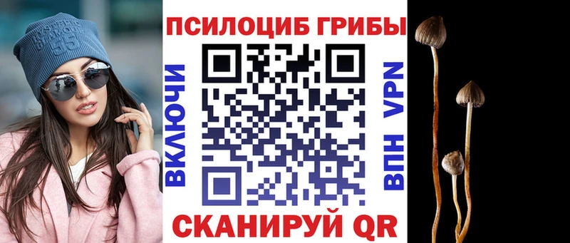 кракен ССЫЛКА  Обь  Галлюциногенные грибы прущие грибы 