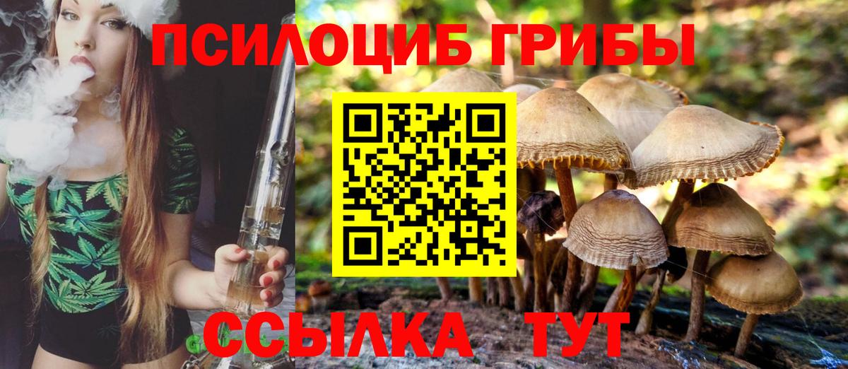 Псилоцибиновые грибы прущие грибы Обь