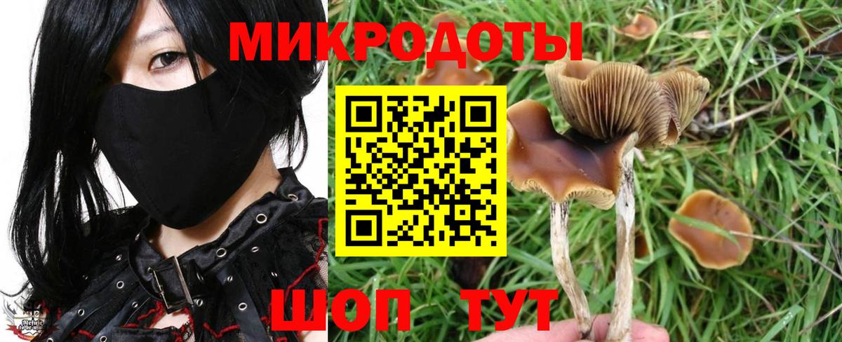 НБОМе  Обь  Меф МЯУ МЯУ кристаллы  Codein  Вход с VPN 
