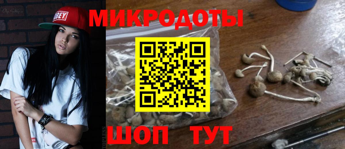 Галлюциногенные грибы GOLDEN TEACHER  Вход с VPN  Обь 